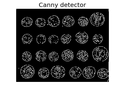 ../../_images/plot_coins_segmentation_3.png