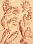 sketches of hands and feet